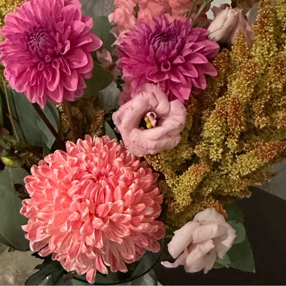 Meet your Posher, Julia - Picture 1 of 1